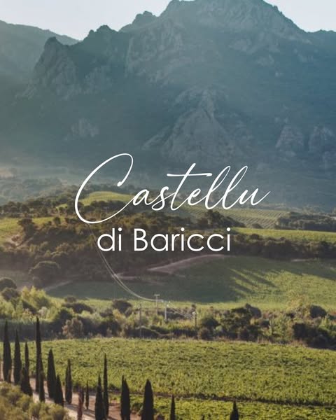 Castellu di Baricci : les vignes face aux montagnes corses